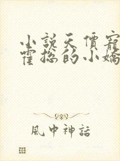 小说天价宠妻:霍总的小娇妻