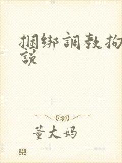 捆绑调教拘束小说