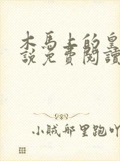 木马上的皇上小说免费阅读笔趣阁