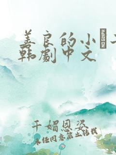 善良的小峓子2韩剧中文