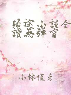 归途小说全文阅读无弹窗