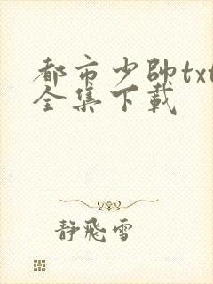 都市少帅txt全集下载