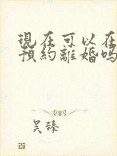 现在可以在网上预约离婚吗