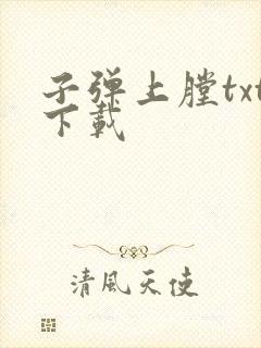 子弹上膛txt下载