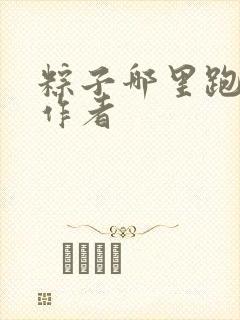 粽子哪里跑小说作者