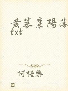 黄蓉襄阳落难记txt