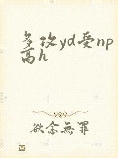 多攻yd受np高h