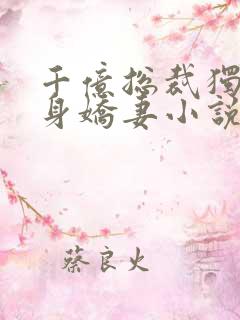 千亿总裁独宠替身娇妻小说阅读