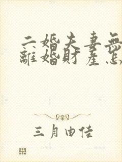 二婚夫妻无子女离婚财产怎么分配