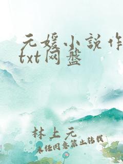 元媛小说作品集txt网盘