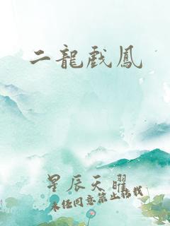 二龙戏凤