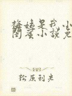 梅姨是我小妈的闺蜜小说免费阅读