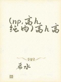 (np,高h,纯肉)高h高辣
