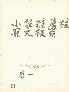 小说推荐校园甜宠文校霸