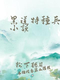 黑道特种兵有声小说