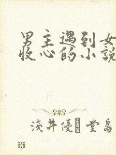 男主遇到女主后收心的小说