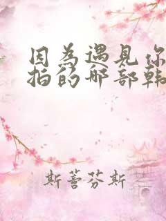 因为遇见你是翻拍的哪部韩剧