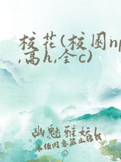 校花(校园np,高h,全c)