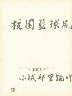 校园篮球风云录