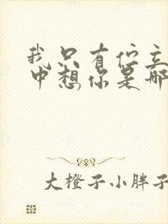 我只有伫立在风中想你是哪首歌的歌词