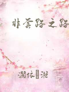 非套路之路