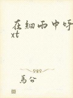 在细雨中呼喊txt