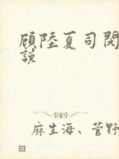 顾陆夏司闵郁小说