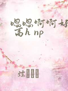 嗯嗯啊啊好爽啊 高h np