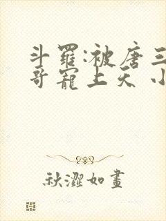 斗罗:被唐三哥哥宠上天 小说