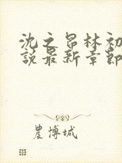 沈之昂林初窈小说最新章节免费阅读