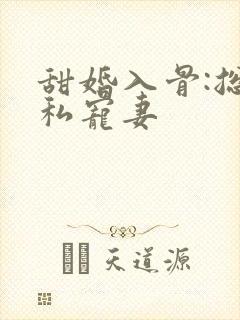 甜婚入骨:总裁私宠妻