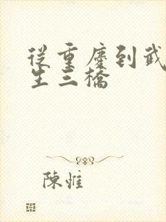 从重庆到武隆天生三桥