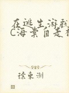 在逃生游戏里挨C海棠自走棋