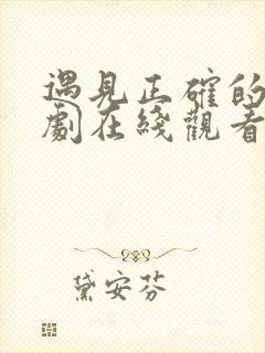 遇见正确的你短剧在线观看全集高清