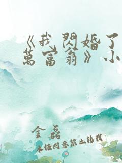 《我闪婚了个亿万富翁》小说