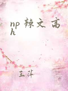 np 辣文 高h