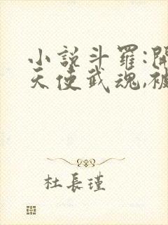 小说斗罗:开局天使武魂,被唐昊追杀更新