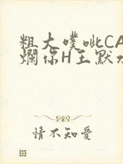 粗大噗呲CAO烂你H王默水王子