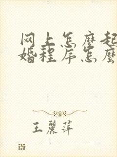 网上怎么起诉离婚程序怎么走