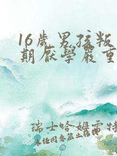 16岁男孩叛逆期厌学严重怎么办