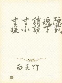 寸寸销魂陈聪王暖小说下载