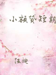 小额贷短期周转