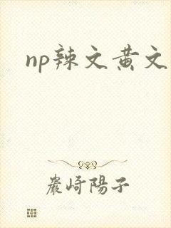 np辣文黄文