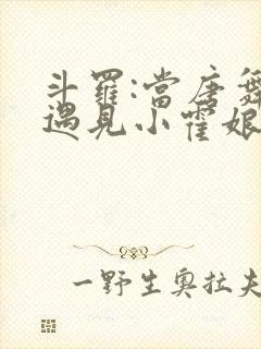 斗罗:当唐舞麟遇见小霍娘免费阅读