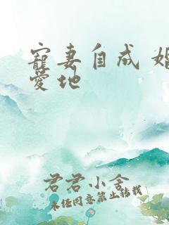 宠妻自成 婚天爱地