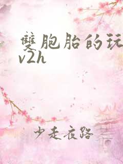 双胞胎的玩具1v2h