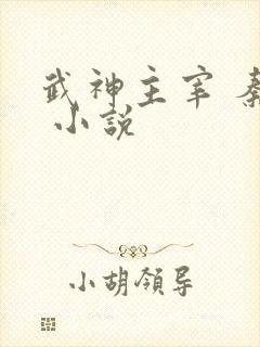 武神主宰 秦尘 小说