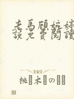 老马顾婉婷的小说免费阅读