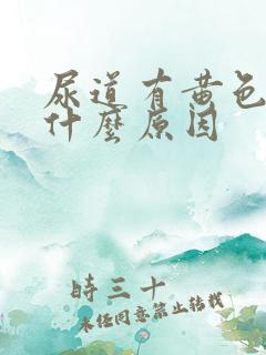 尿道有黄色液体什么原因