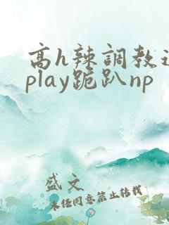高h辣调教道具play跪趴np